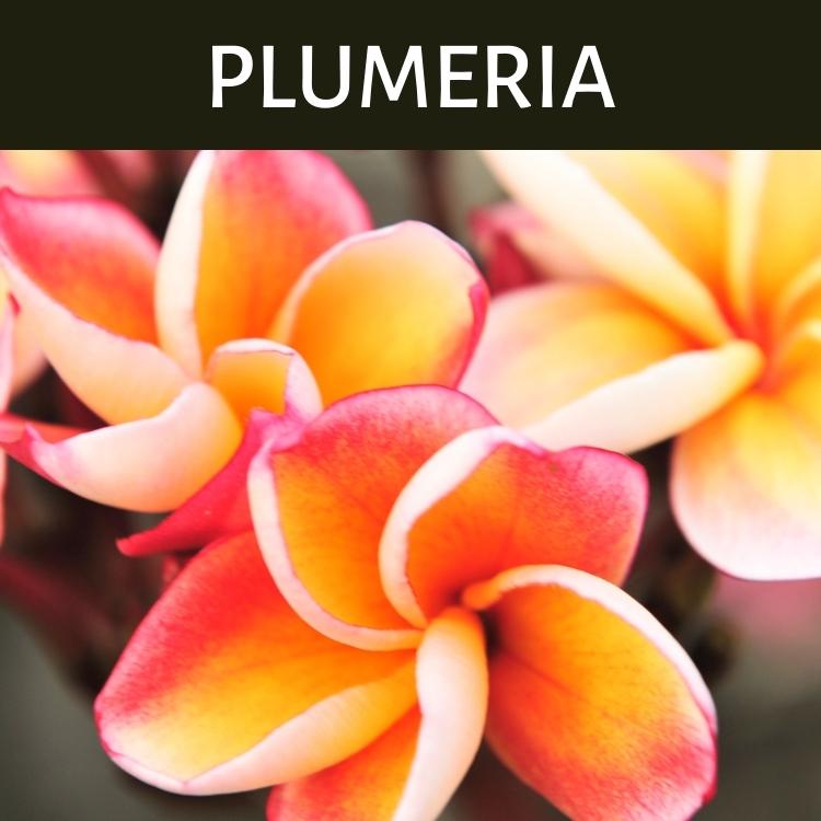 Floral, sweet Plumeria Scents | Premium Home Fragrance – Olfactory ...