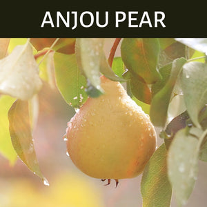 Anjou Pear Scented Products