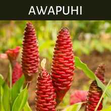 Load image into Gallery viewer, Awapuhi Scented Products

