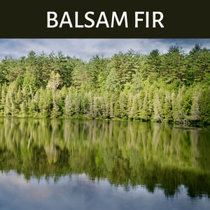 Balsam Fir Scented Products