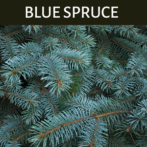 Blue Spruce Scented Products