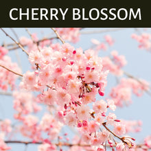 Load image into Gallery viewer, Cherry Blossom Scented Products
