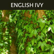 Load image into Gallery viewer, English Ivy Scented Products
