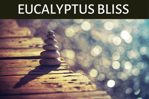 Eucalyptus Bliss Scented Products