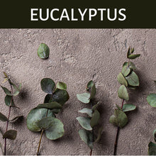 Load image into Gallery viewer, Eucalyptus Scented Products
