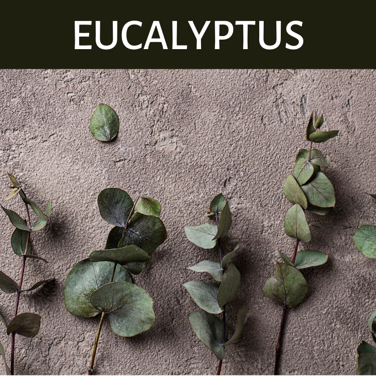 Eucalyptus Scented Products