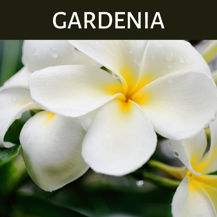 Gardenia Scented Products