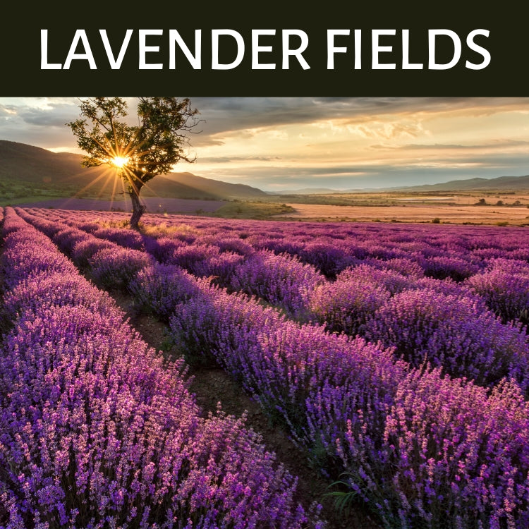Lavender Fields Scented Products