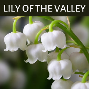Lily of the Valley Scented Products