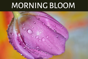 Morning Bloom Scented Products
