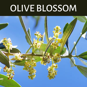 Olive Blossom Scented Products