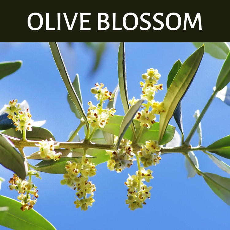 Olive Blossom Scented Products