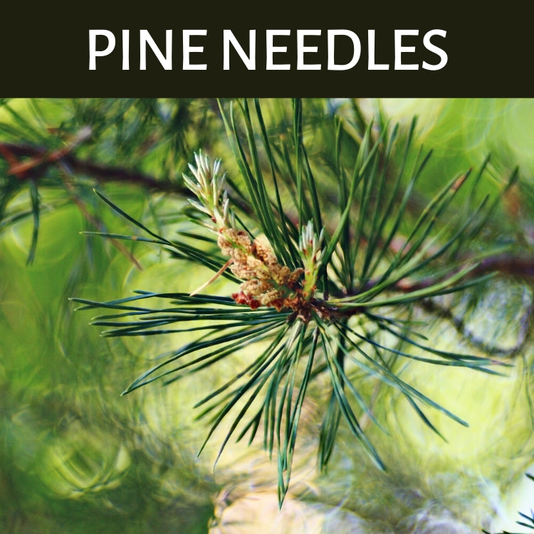 Pine Needles Scented Products