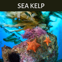 Load image into Gallery viewer, Sea Kelp Scented Products
