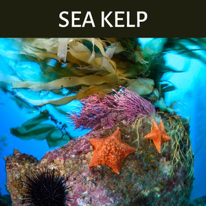 Sea Kelp Scented Products