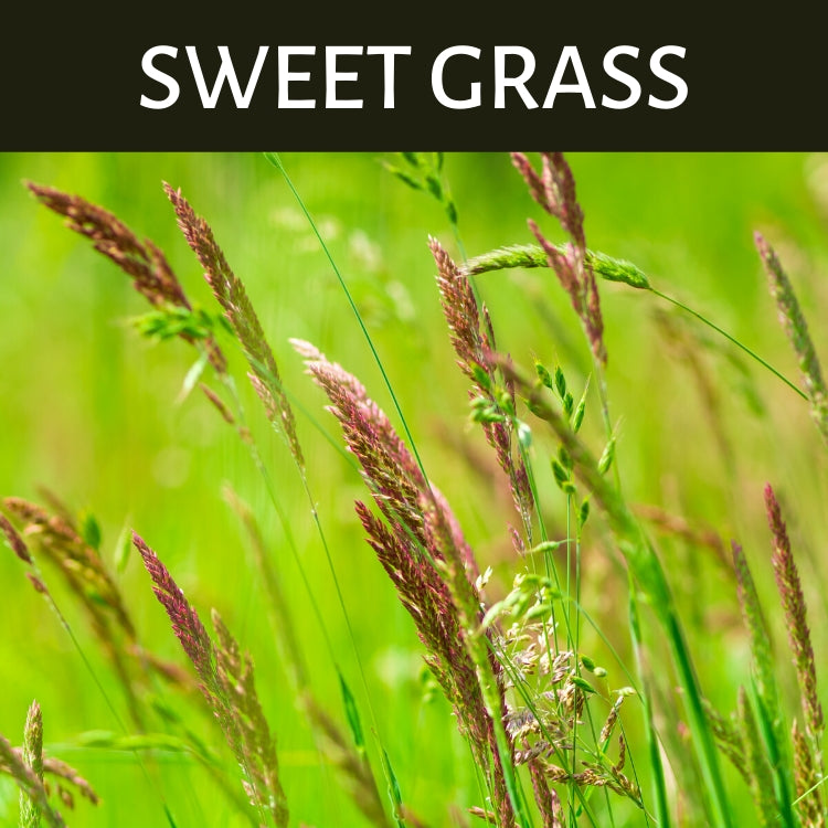 Sweet Grass Scented Products