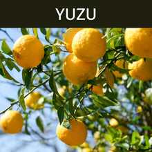 Load image into Gallery viewer, Yuzu Scented Products
